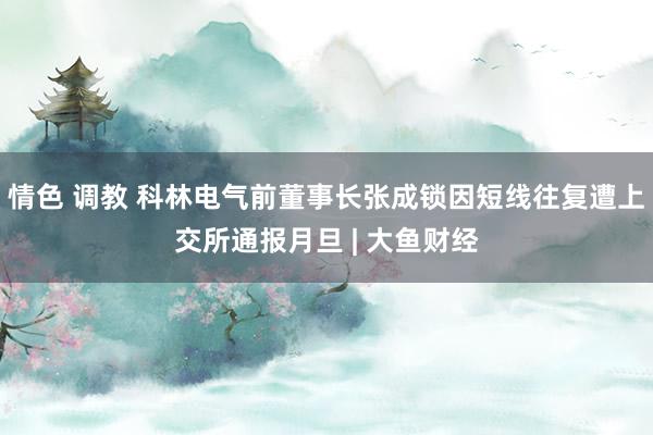 情色 调教 科林电气前董事长张成锁因短线往复遭上交所通报月旦 | 大鱼财经