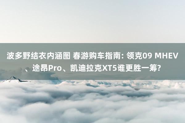 波多野结衣内涵图 春游购车指南: 领克09 MHEV、途昂Pro、凯迪拉克XT5谁更胜一筹?