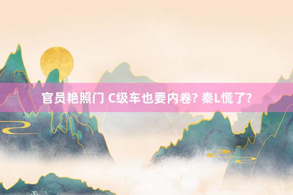 官员艳照门 C级车也要内卷? 秦L慌了?