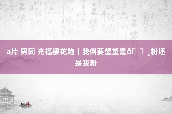 a片 男同 光福樱花跑｜我倒要望望是🌸粉还是我粉