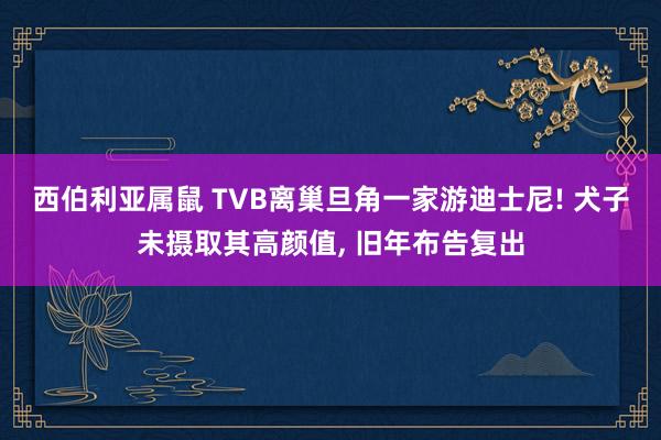 西伯利亚属鼠 TVB离巢旦角一家游迪士尼! 犬子未摄取其高颜值， 旧年布告复出